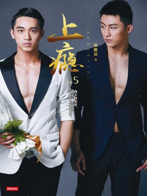 cover image of 上癮5　限制級